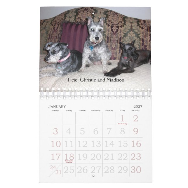 Calendario 2011 de SRM (Jan 2027)