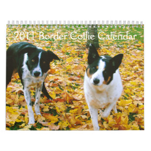 Calendario 2011 del border collie
