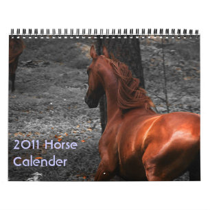 Calendario 2011 del caballo