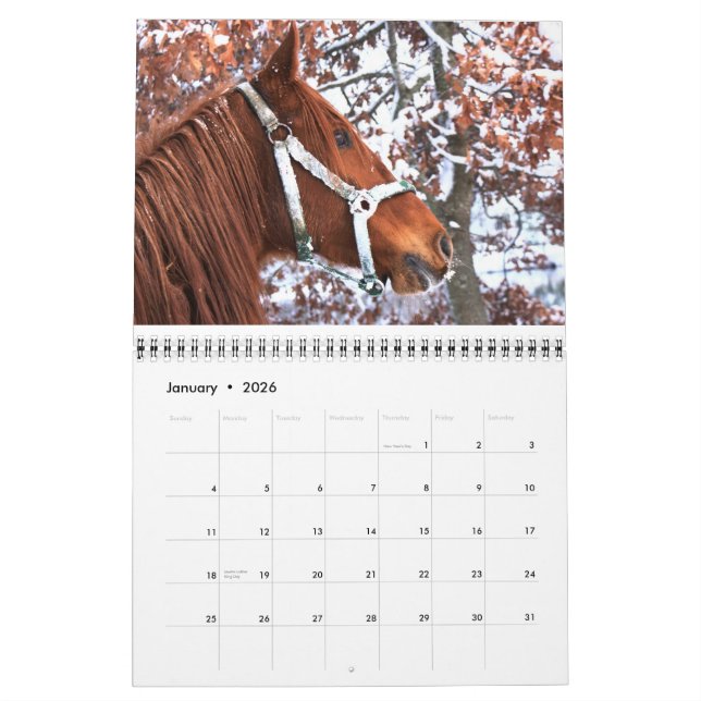 Calendario 2011 del caballo (Jan 2026)