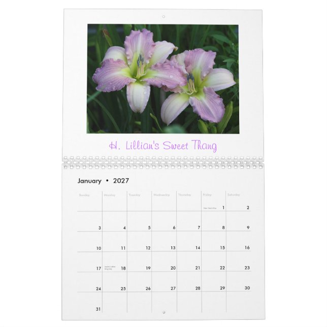 Calendario 2011 del Daylily            … (Jan 2027)