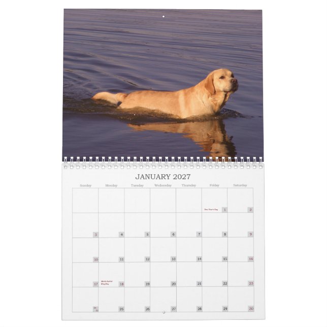 Calendario 2011 del labrador retriever (Jan 2027)