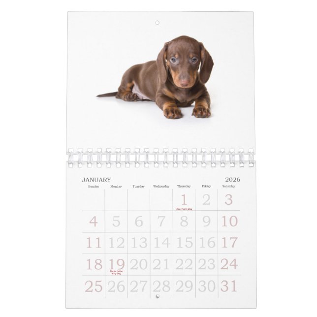 Calendario 2011 del perrito del Dachshund (Jan 2026)