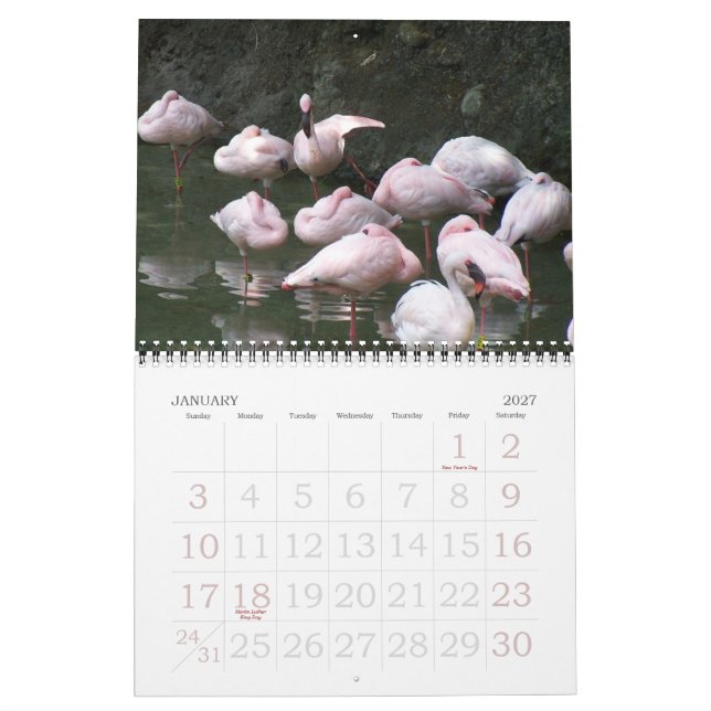Calendario 2011 pájaros (Jan 2027)
