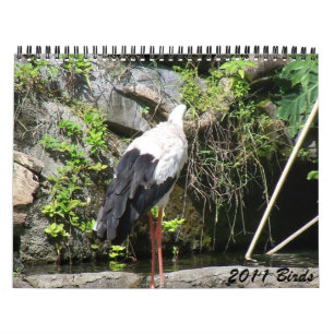 Calendario 2011 pájaros