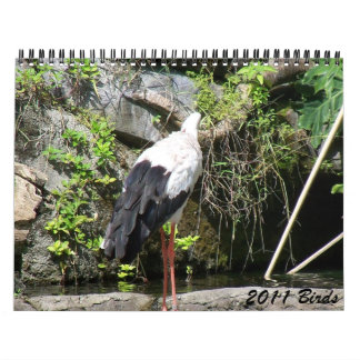 Calendario 2011 pájaros