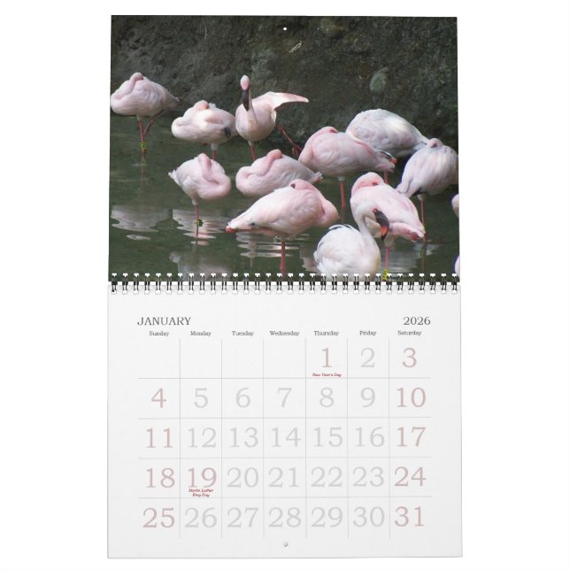 Calendario 2011 pájaros (Jan 2026)