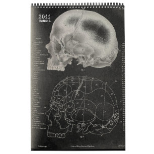 Calendario 2011 SKULL/SKELETON/ANATOMY - Tang13.