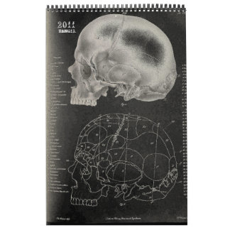 Calendario 2011 SKULL/SKELETON/ANATOMY - Tang13.
