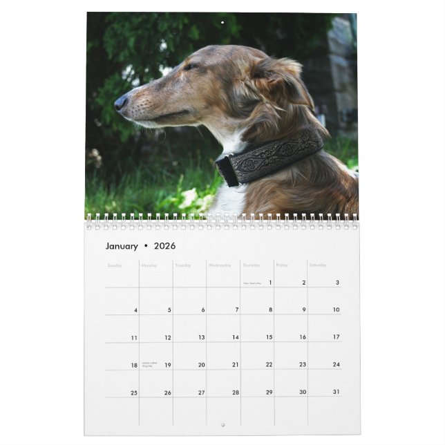 Calendario 2011 Windhounds de seda 2011 (adultos) (Jan 2026)