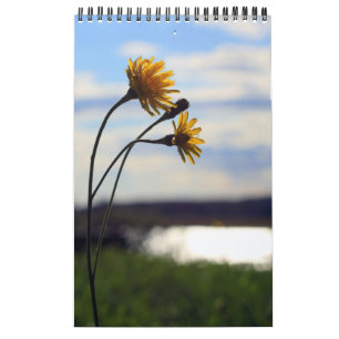 Calendario 2012