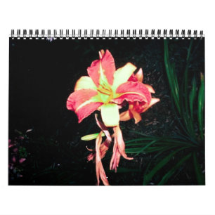 Calendario 2012