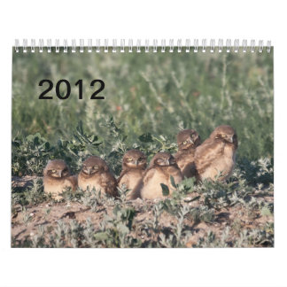 Calendario 2012 búhos de madriguera