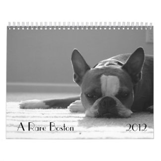 Calendario 2012 de Boston Terrier