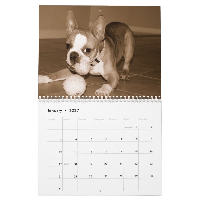 Calendario 2012 de Boston Terrier (Jan 2027)