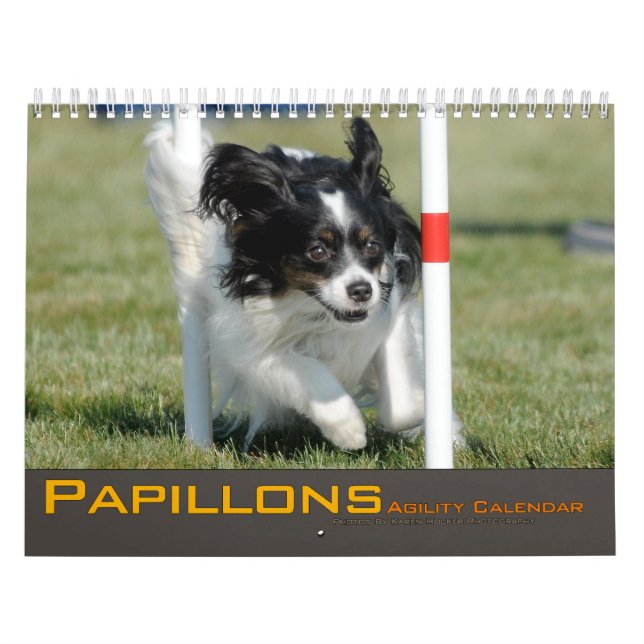 Calendario 2012 de la agilidad de Papillons (Tapa)