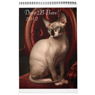Calendario 2012 de Sphynx