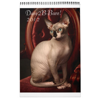 Calendario 2012 de Sphynx