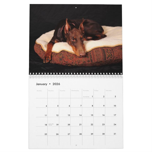 Calendario 2012 del Doberman (Jan 2026)