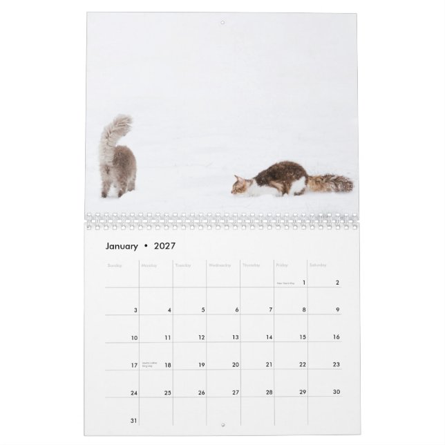 Calendario 2012 del gato (Jan 2027)