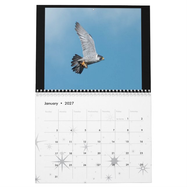 Calendario 2012 del halcón de peregrino de (Jan 2027)