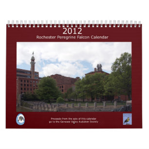 Calendario 2012 del halcón de peregrino de