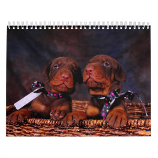 Calendario 2012 del perrito del Doberman