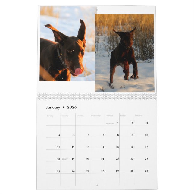 Calendario 2012 del perrito del Doberman (Jan 2026)