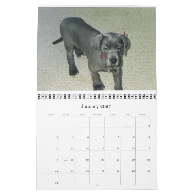 Calendario 2012 van SundayStyle Edition (Jan 2027)