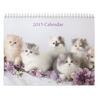 Calendario 2013