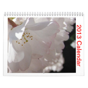 Calendario 2013