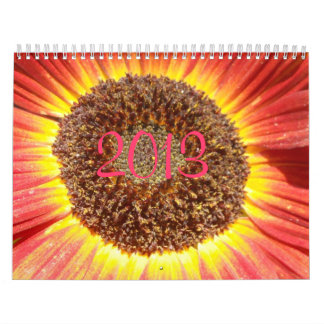 calendario 2013