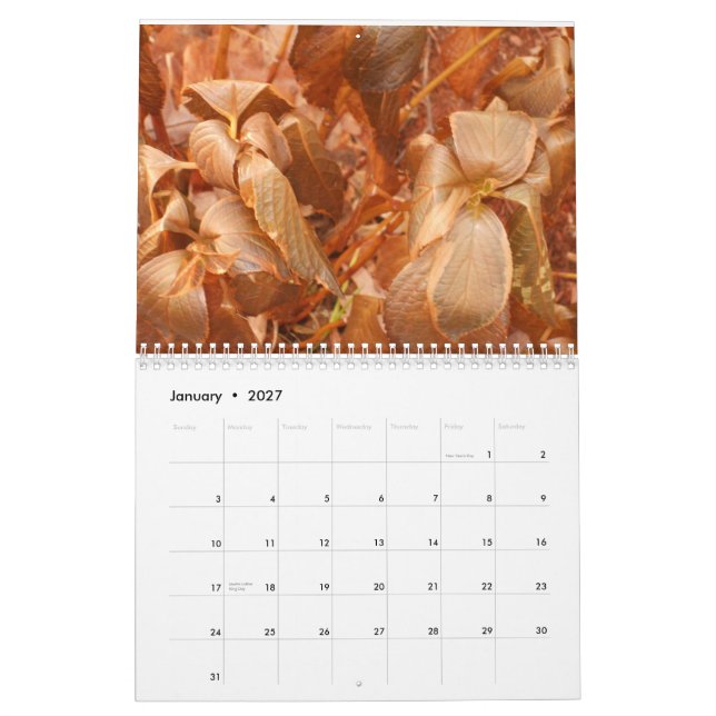 calendario 2013 (Jan 2027)