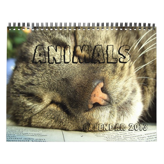 Calendario 2013 - Animales (Tapa)
