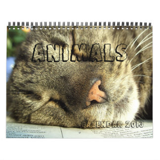Calendario 2013 - Animales