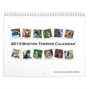 Calendario 2013 de Boston Terrier