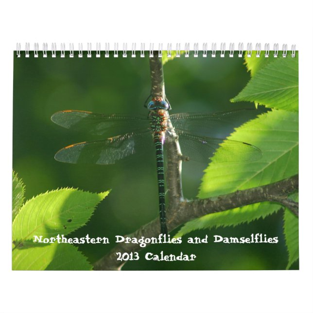 Calendario 2013 de Dragonflies Damselflies (Tapa)
