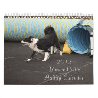 Calendario 2013 de la agilidad del border collie