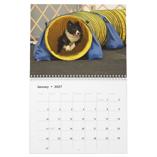 Calendario 2013 de la agilidad del border collie (Jan 2027)
