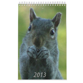 Calendario 2013 de la ardilla