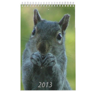 Calendario 2013 de la ardilla