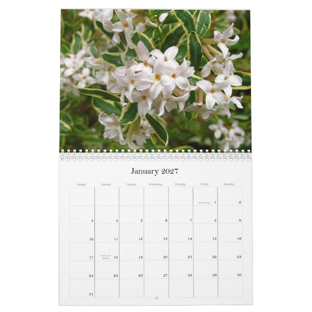 Calendario 2013 de la flor (Jan 2027)