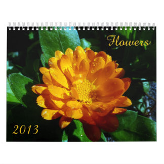 Calendario 2013 de la flor
