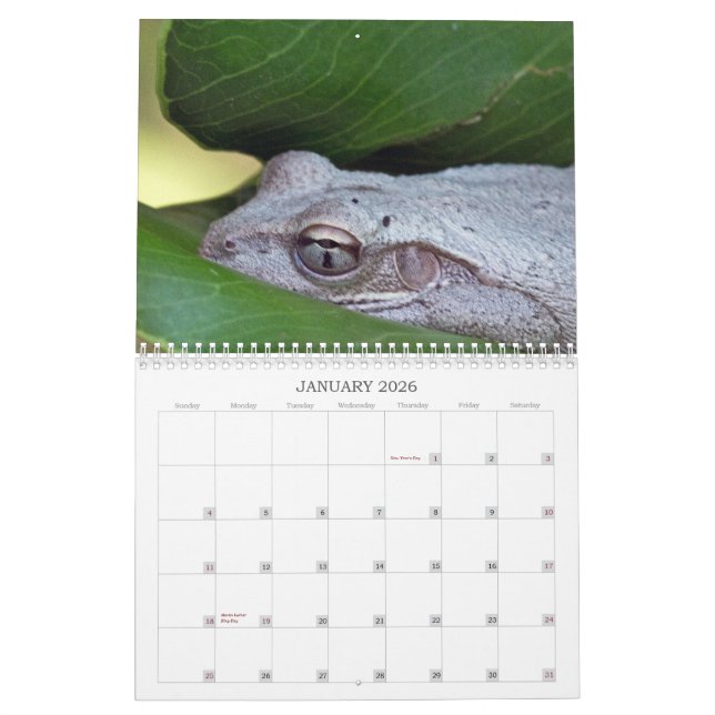 Calendario 2013 de la foto (Jan 2026)