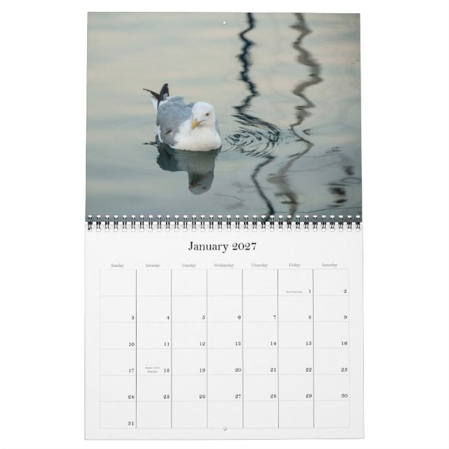 Calendario 2013 de la fotografía (Jan 2027)