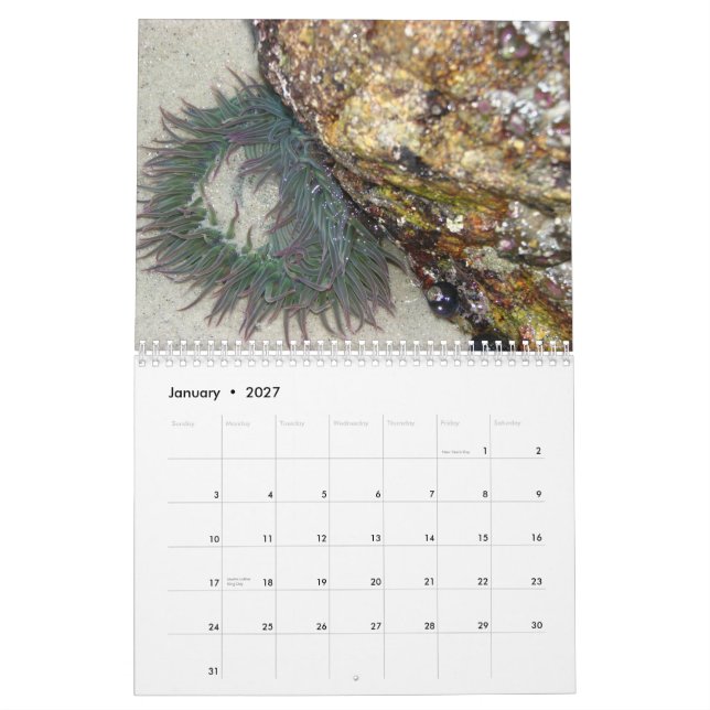 Calendario 2013 de la fotografía de la herencia (Jan 2027)