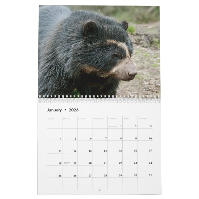 Calendario 2013 de la Fundación del Oso Andino (Jan 2026)
