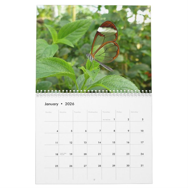 Calendario 2013 de la mariposa (Jan 2026)