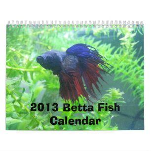 Calendario 2013 de los pescados de Betta