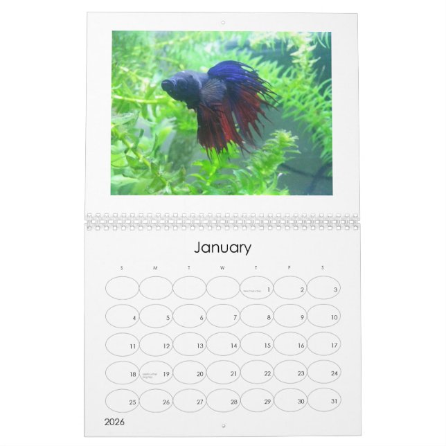 Calendario 2013 de los pescados de Betta (Jan 2026)